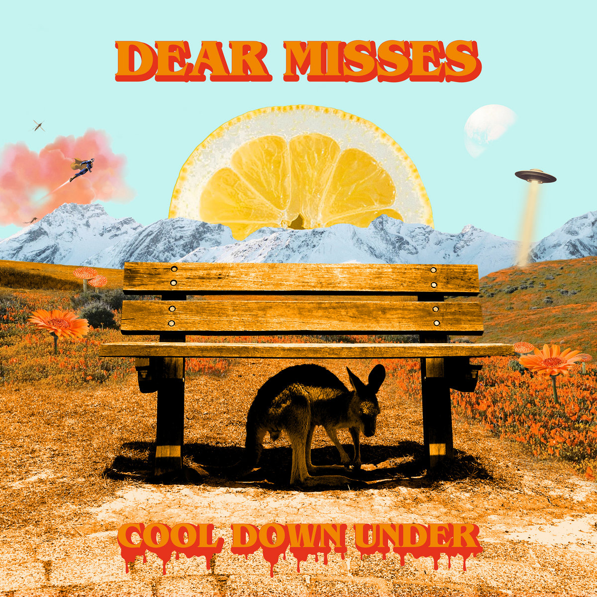 Dear Misses - Cool Down Under LP