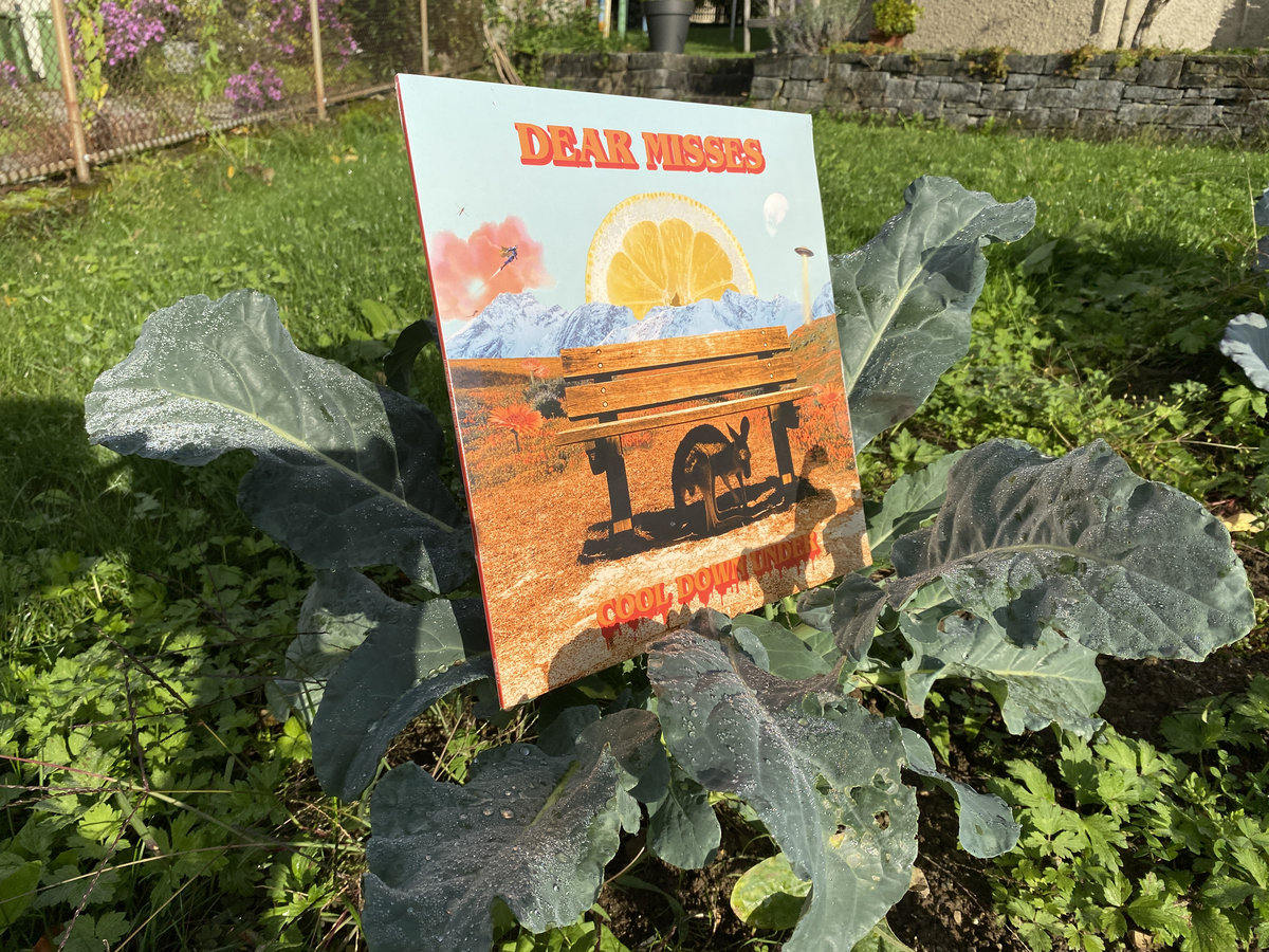 Dear Misses - Cool Down Under LP - Image 3